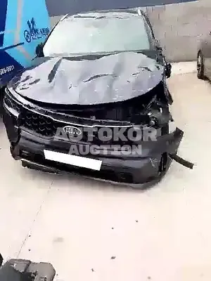 2020, Kia / Sorento, VIN: KNARH81BGMA053875, diesel