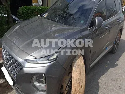 2020, Hyundai / Santa FE, VIN: KMHS381ABLU229579, gas