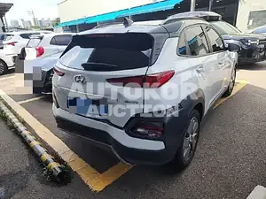 2019, Hyundai / Kona, 110000 км., electric, 160 куб.см.