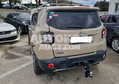 2016, Jeep / Renegade, VIN: 1C4BU0000GPC63648, 220625 км., diesel