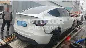 2021, Tesla / Model Y, 60000 км., electric, 236 куб.см.