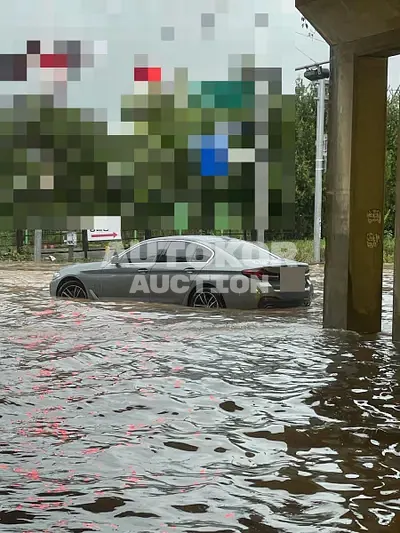 2023, BMW / 520, 43264 км., gas, 1998 куб.см.