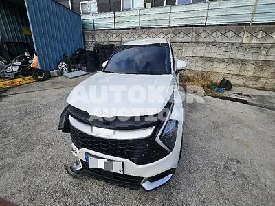 2023, Kia / Sportage, VIN: KNAPU81BGPK195938, 49540 км., gas, 1600 куб.см.