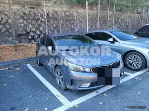 2017, BMW / Z1, VIN: KNAFX412BHA965159, 110000 км., gas