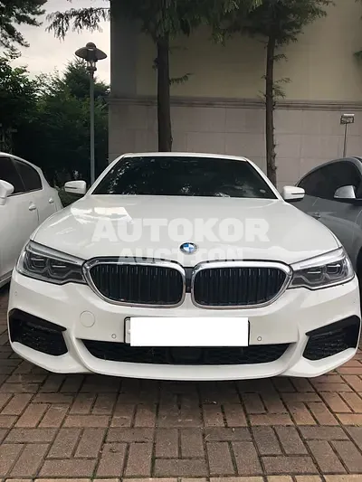 2019, BMW / 520, VIN: WBAJF3100KBJ09162, 70500 км., diesel