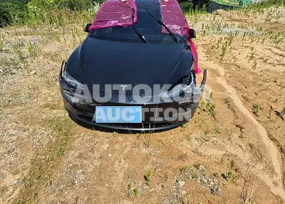 2024, Tesla / Model 3, 25323 км., electric, 173 куб.см.