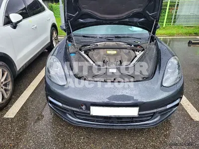2020, Porsche / Panamera, VIN: WP0AE2974LL131839, 28930 км., hybrid