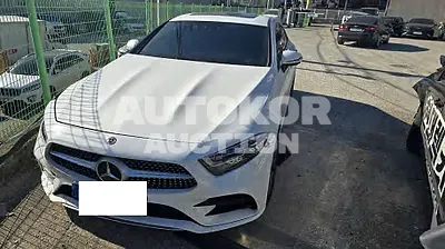 2020, Mercedes-Benz / cls, VIN: W1K2J1JB7LA079120, 67365 км., diesel