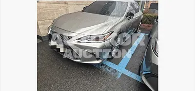 2021, Lexus / es300h, 55000 км., hybrid, 2487 куб.см.