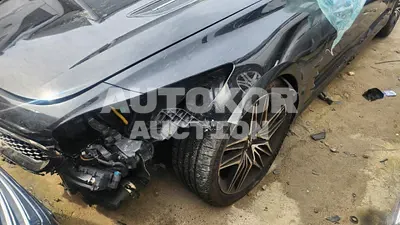 2021, Kia / Stinger, VIN: KNAE551CDMS110508, 60649 км., gas, 3342 куб.см.