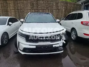 2022, Kia / Sorento, VIN: KNARG81FHPA172850, gas