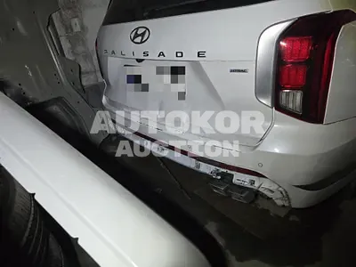 2023, Hyundai / Palisade, VIN: KMHR581ADPU574010, diesel, 2199 куб.см.