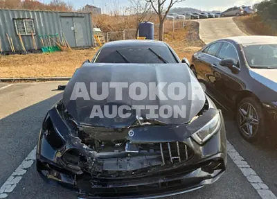 2023, Mercedes-Benz / cls53, 46431 км., gas