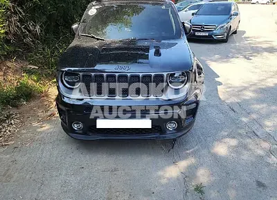 2020, Jeep / Renegade, VIN: 1C4BU0000LPL78079, gas