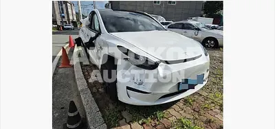 2023, Tesla / Model Y, 45781 км., electric, 173 куб.см.