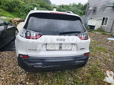 2019, Jeep / Cherokee, 52286 км., gas, 2360 куб.см.