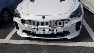 2020, Kia / Stinger, 25000 км., gas