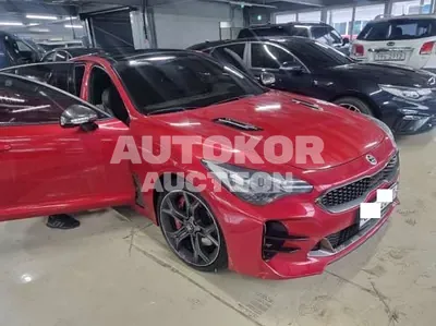 2019, Kia / Stinger, VIN: KNAE351ADKS058667, 54082 км., gas