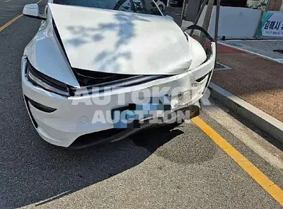 2025, Tesla / Model Y, 15533 км., electric, 230 куб.см.