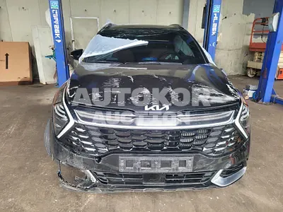 2023, Kia / Sportage, VIN: KNAPY81BGPK116642, gas