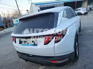 2022, Hyundai / Tucson, VIN: KMHJB81BGNU166678, 20928 км., gas