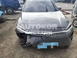 2018, Hyundai / Kona, VIN: KMHK381GFKU013222, 351226 км., electric