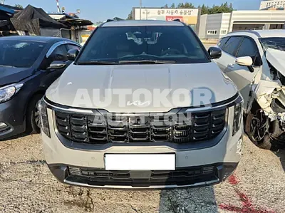 2024, Kia / Carnival, VIN: KNANE81ABRS007063, 88796 км., hybrid, 1600 куб.см.
