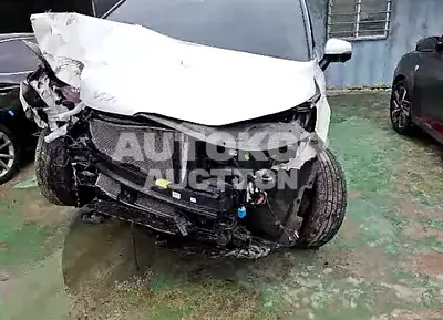 2023, Kia / Carnival, VIN: KNANC813BPS270697, 21848 км., gas
