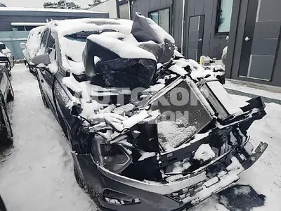 2019, Hyundai / Santa FE, VIN: KMHS281BBLU187693, 51000 км., diesel, 1995 куб.см.