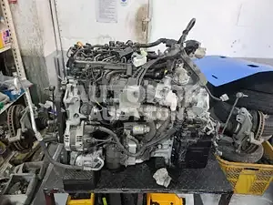 2019, Hyundai / Santa FE, VIN: KMHS281BBLU230422, diesel