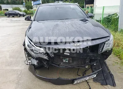 2019, Kia / K5, VIN: KNAGT411BKA261051, gas
