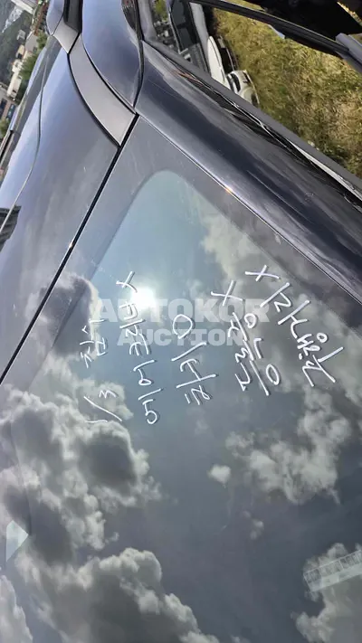 2024, Kia / Carnival, VIN: KNANE81BBRS437517, 27068 км., diesel, 2151 куб.см.