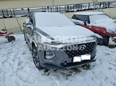 2020, Hyundai / Santa FE, VIN: KMHS381BBLU301410, diesel
