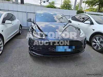 2021, Tesla / Model Y, 65468 км., electric