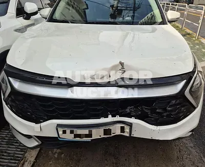 2022, Kia / Sportage, VIN: KNAPT81BGPK109276, 108108 км., gas, 1600 куб.см.