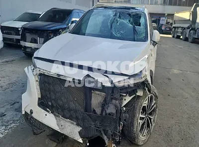 2019, Hyundai / Santa FE, VIN: KMHS281BBKU082980, 131205 км., diesel