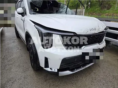 2024, Kia / Sorento, gas, 2497 куб.см.