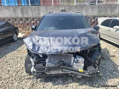 2023, Kia / Carnival, VIN: KNANE81BBPS273744, diesel