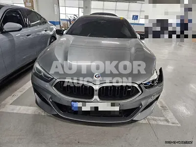 2023, BMW / 850, 23642 км., gas