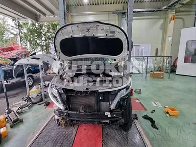 2021, Kia / Carnival, VIN: KNANB81BBMS053802, diesel