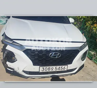 2019, Hyundai / Santa FE, VIN: KMHS281CBKU107302, diesel