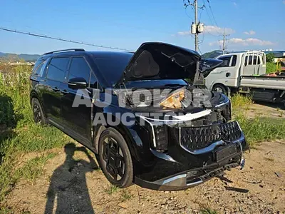 2024, Kia / Carnival, 84429 км., diesel, 2200 куб.см.