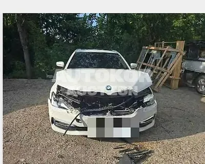 2018, BMW / 520, 184545 км., gas, 1998 куб.см.