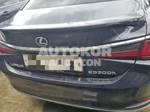 2019, Lexus / ES 300, VIN: JTHB21B10K2023749, hybrid, 2487 куб.см.