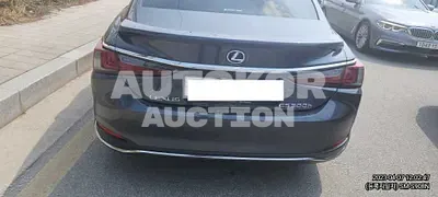 2022, Lexus / ES 300, VIN: JTHBA1C11N2007310, hybrid