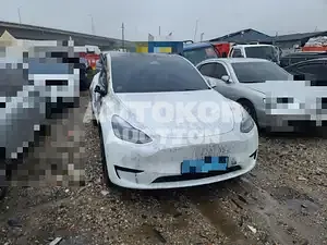 2024, Tesla / Model Y, 7888 км., electric, 173 куб.см.
