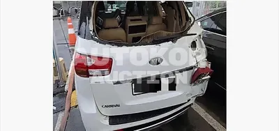 2017, Kia / Carnival, VIN: KNAMC81ABJS407906, 244651 км., diesel, 2199 куб.см.