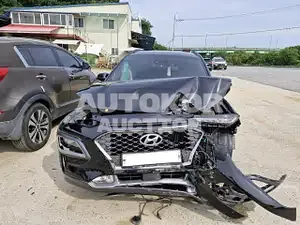 2018, Hyundai / Kona, VIN: KMHK5816GJU139858, 61829 км., diesel