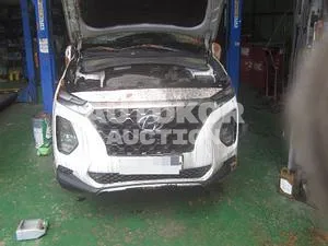 2019, Hyundai / Santa FE, VIN: KMHS281CBLU199365, diesel
