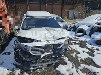 2016, Kia / Carnival, diesel